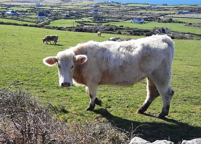 Frühstückspension Island View 4*